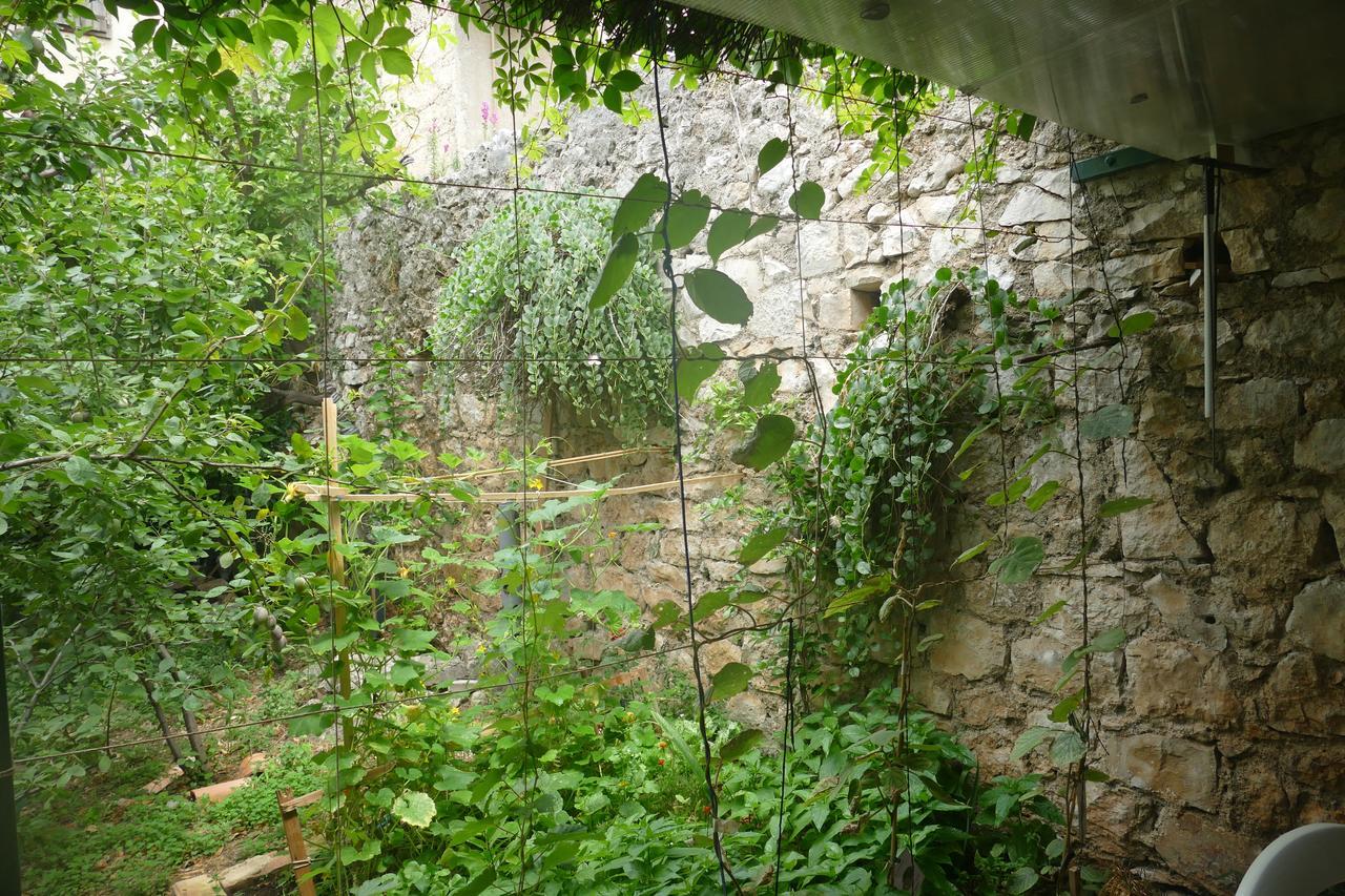 Villa Abeona Makarska Exteriör bild